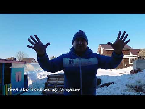 Видео: Решил завести живность? Не знаешь с чего начать? Делюсь 7 летним опытом.
