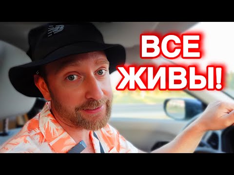 Видео: Есть РИСК! Надеюсь с ГОЛОДУ не УМРЕМ!