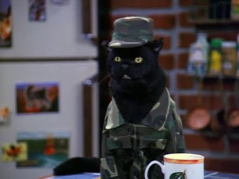 Видео: Кот Сэйлем - лучшие моменты | Сабрина маленькая ведьма