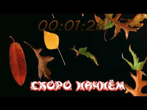 Видео: !1080 !ДОНАТ !КЛИП СТРОИМ БИЗНЕС ВМЕСТЕ!!!  ТОКСИКАМ БАН БЕ�