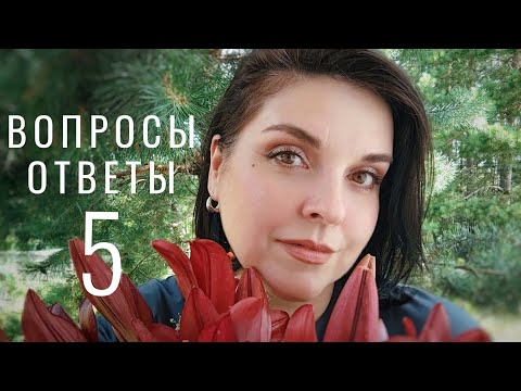 Видео: №87 О вязании, увлечениях, доме и животных