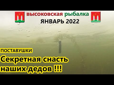 Видео: ЛОВЛЯ ЩУКИ НА ПОСТАВУШКИ В 2022 ГОДУ. ТРОФЕЙНАЯ ЩУКА ПОДМОСКОВЬЯ