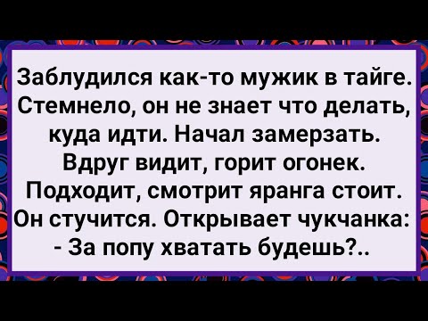 Видео: Как Чукчанка Мужика в Яранге Принимала! Большой Сборник Свежих Смешных Анекдотов!
