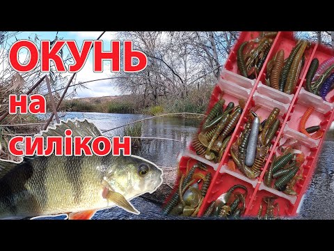 Видео: ОКУНЬ на СИЛІКОН вся риба в очереті !! рибалка на спінінг в листопаді ловля окуня