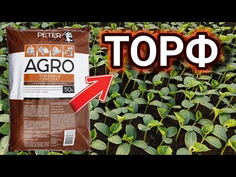 Видео: Koʻchatlar uchun oʻgʻitli Tuproq ( ТОРФ ) Foydasi chirindidan zoʻr.