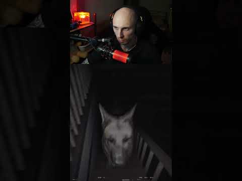 Видео: Когда хоррор превращается в собачий приют 🐕💀 #стрим #геймплэй #прохождение