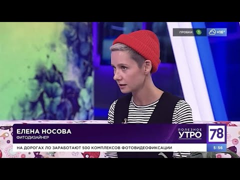 Видео: Растения всю зиму стоят на холодном балконе. Как?
