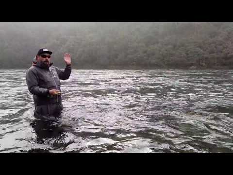 Видео: Нахлыст на Камчатке в сентябре