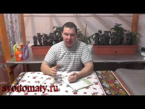 Видео: Причины плохой всхожести семян