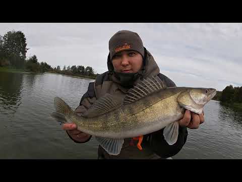 Видео: Судак,щука на джиг.Первая рыбалка с катушкой Daiwa Lexa 19 E LT 5000