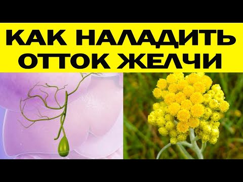 Видео: ДЖВП: Причины, Симптомы, Лечение