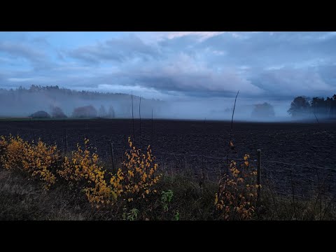 Видео: В Предверии Дикой Охоты