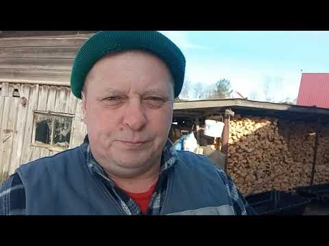 Видео: И снова МУЖИК в работе