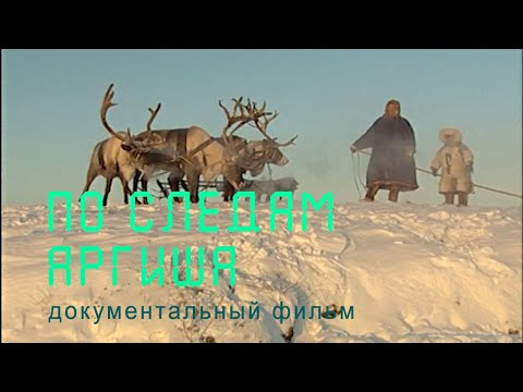 Видео: Таймыр. Енисейские ненцы. Большой аргиш. Nature of Russia.