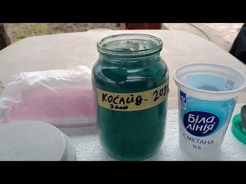 Видео: Первая и главная обработка персика от курчавости весной.Вместо БЖ применяю Косайд 2000. Результаты.