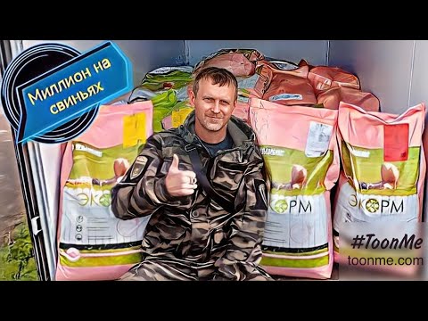 Видео: Раскрываю секреты успешного свиноводства!