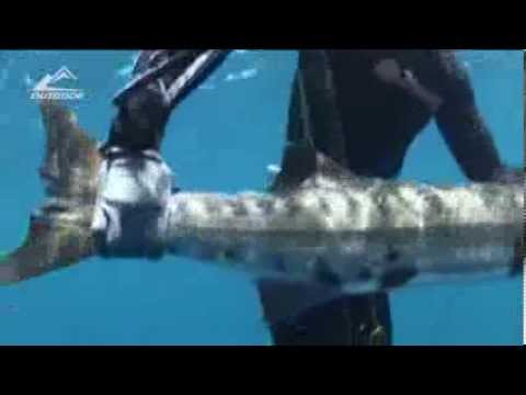 Видео: Подводная охота в атлантическом океане