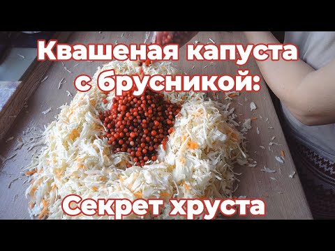Видео: Квашеная капуста с брусникой: Секрет хруста