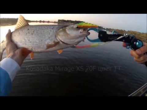 Видео: FishComm Shop: Ловля жереха на воблер Kosadaka Mirage XS 70F