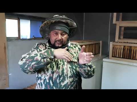 Видео: Борьба с Клещём После Изоляции Маток!!!