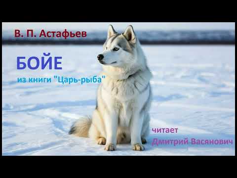 Видео: В. П. Астафьев. Бойе ( из повести "Царь-рыба"). Читает Д. Васянович