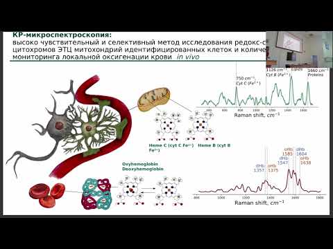 Видео: Браже Н.А. Применение спектроскопии комбинационного рассеяния в биомедицинских исследованиях
