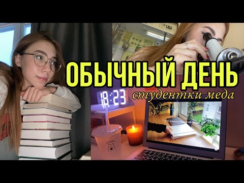 Видео: обычный день студентки медицинского