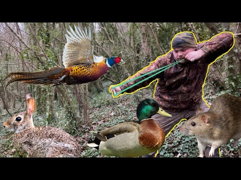 Видео: Как охотиться с рогаткой *СОДЕРЖИТ ВИДЕО С ОХОТЫ*