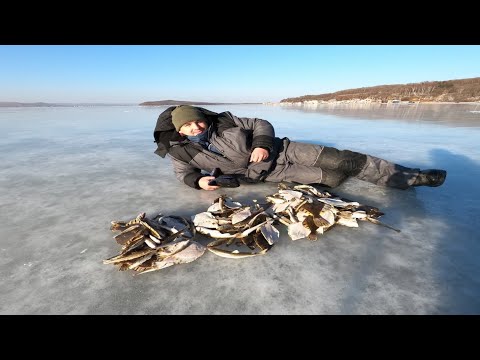 Видео: МОРСКАЯ РЫБАЛКА/ТАВРИЧАНКА/КАМБАЛА/НАВАГА/ЗИМНЯЯ РЫБАЛКА/ПРИМОРСКИЙ КРАЙ/2021/The Fish