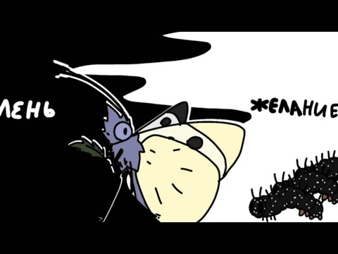 Видео: Я ВЕРНУЛАСЬ! гусеницы Павлинний глаз, Сенницы, пяденицы, совки... и бабочки