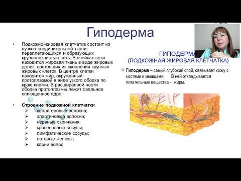 Видео: Послойное инъекционное восстановление кожи. Сочетание с пилингами как метод комплексной терапии.