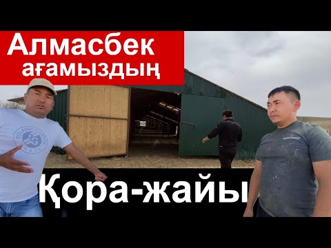 Видео: Алмасбек Садырбаев ағамыздың қора жайы. 4 саланың  дробиокасы отандық өнімді қолдайық қазақстан алға