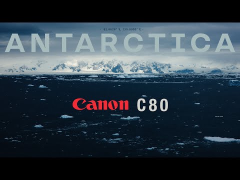 Видео: Антарктида — снято на Canon C80