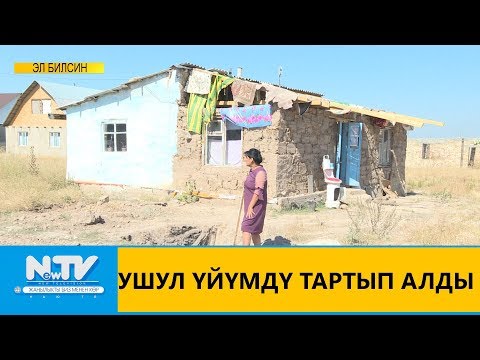 Видео: УШУЛ ҮЙҮМДҮ ТАРТЫП АЛДЫ