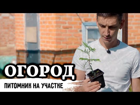 Видео: Питомник декоративных растений в огороде частного дома //  440 000 рублей за сезон у новичка