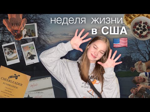 Видео: VLOG: Неделя из жизни в США🇺🇸🦅