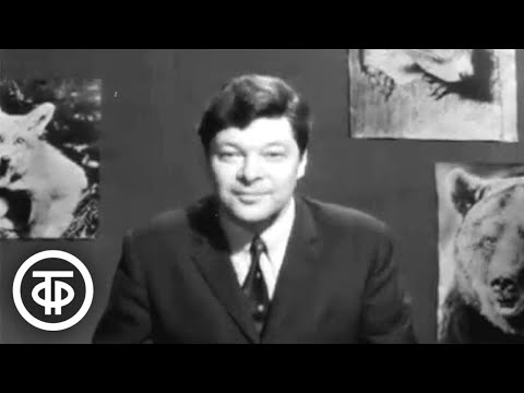 Видео: Природоведение. 2 класс. Как звери к зиме готовятся (1974)