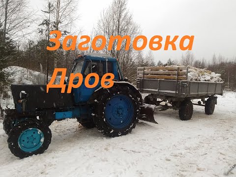 Видео: Мтз 82. Заготовка дров.