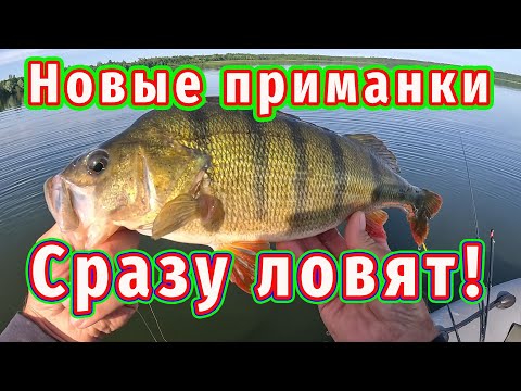 Видео: Новые приманки сильно Понравились Окуню! Сразу разловил!