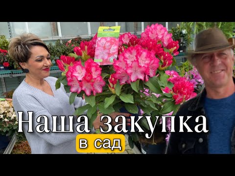 Видео: НАША ЗАКУПКА ЦВЕТОВ В САД.ЧТО МЫ КУПИЛИ И КАК ПОСАДИЛИ.