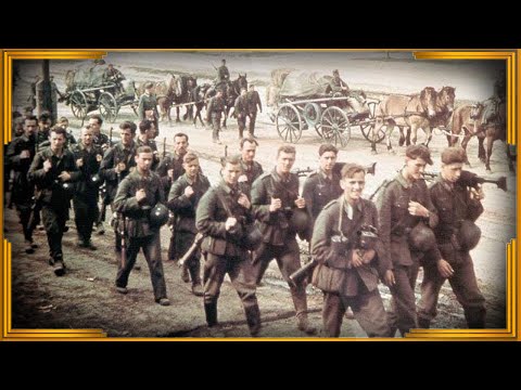 Видео: Дневник немецкого солдата на Восточном фронте. Часть 3