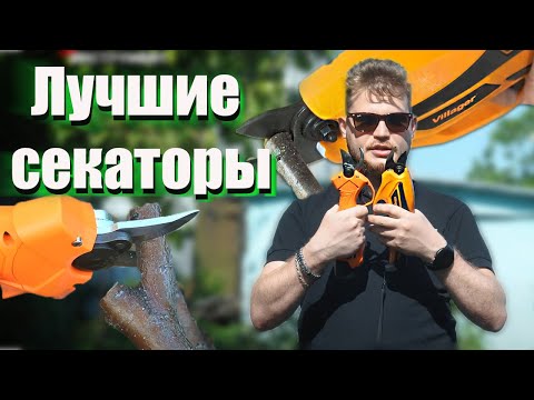 Видео: Как выбрать лучший аккумуляторный секатор | Аккумуляторные секаторы Villager, Daewoo