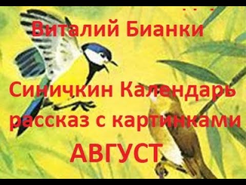 Видео: Август "Синичкин календарь" Виталий Бианки. Рассказ  с картинками