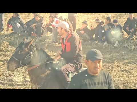 Видео: 27 ноября 2023 г.