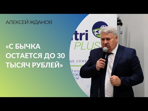 Видео: С бычка остается до 30 тысяч рублей» | Алексей Жданов об откорме скота
