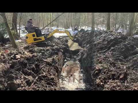 Видео: 20 марта 2025 г.