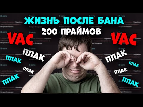 Видео: ДОХОД ЗА МЕСЯЦ ЗАБАНЕННОЙ ФЕРМЫ ИЗ 200 ПРАЙМОВ. ЖИЗНЬ ПОСЛЕ БАНА.