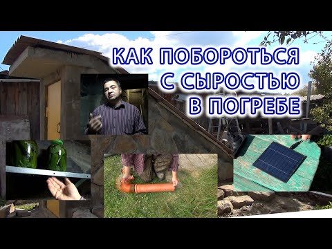 Видео: Как побороть конденсат в погребе