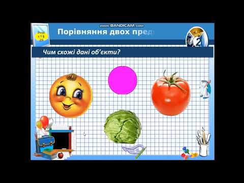 Видео: Види об'єктів. Інформаційний об'єкт. Властивості об'єкта.