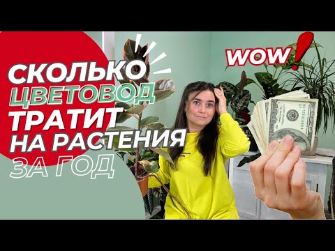 Видео: ШОКИРУЮЩАЯ стоимость! Сколько стоит хобби ЦВЕТОВОДА? Затраты на растения за год!